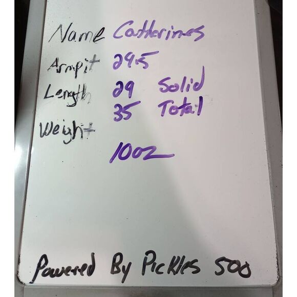 Catherines Shirt‎ Ladies 3x Petite Black Tan Fringe - Picture 6 of 6